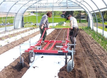 Gemüseanbau bei Essblatt