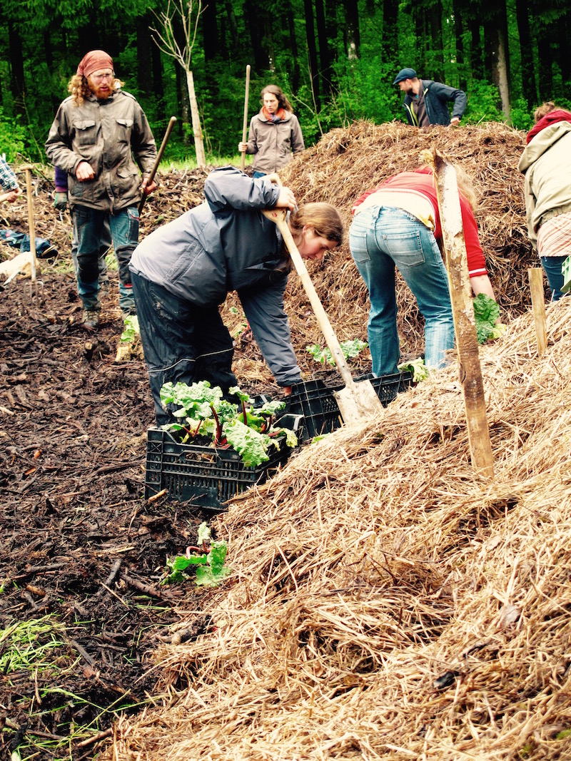 Permakultur-Landwirtschaft Workshop bio-dynamisch