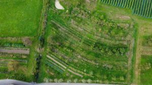 Keyline Agroforst Minga vo Meile