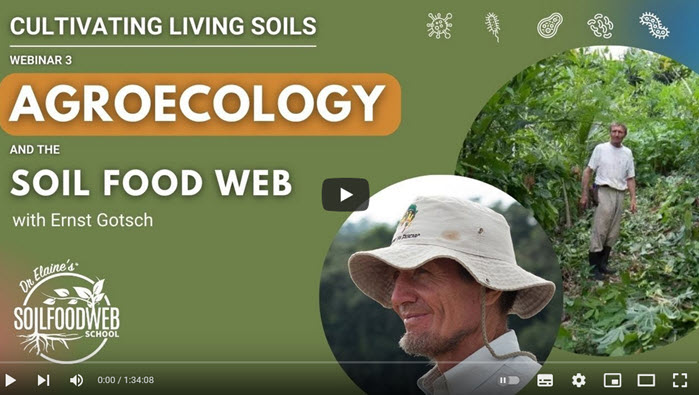 Ernst Goetsch Agroecology