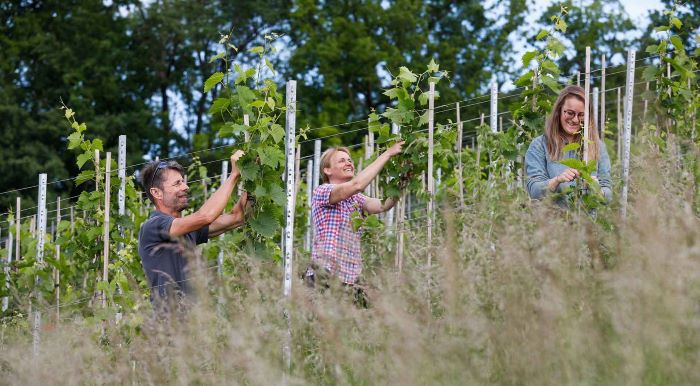 Biovision Schweiz - Leuchtturm Weingut Lenz