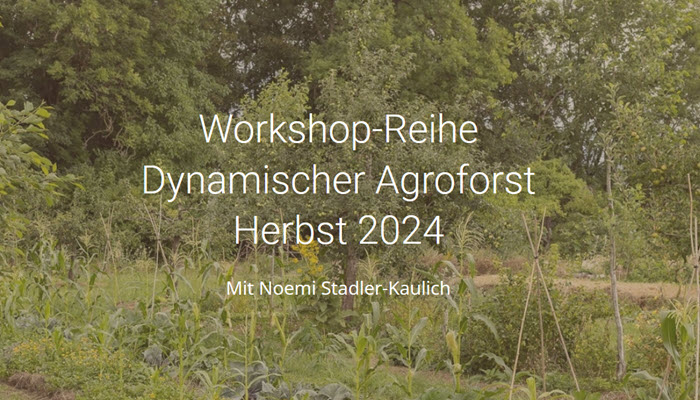 Workshop-Reihe Dynamischer Agroforst