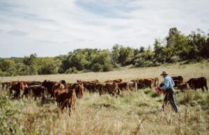 Masterclass Joel Salatin