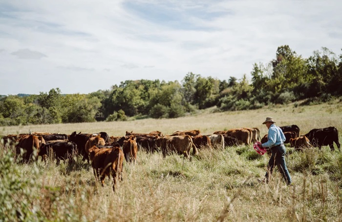 Masterclass Joel Salatin