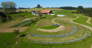 Naturgut Katzhof