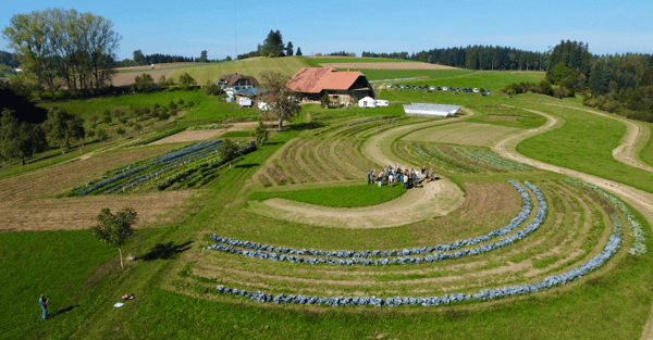 Naturgut Katzhof