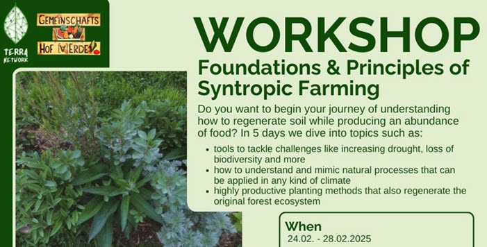 Foundations Syntropic Farming Workshop