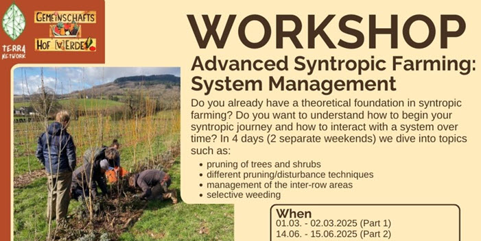 Advanced Syntropic Farming Workshop