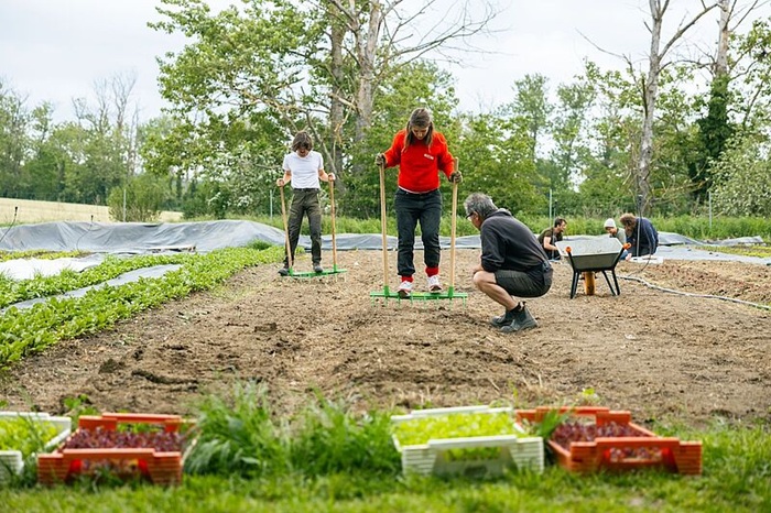 Tiny Farms Academy