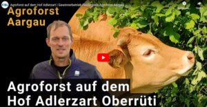 Agroforst auf dem Hof Adlerzart