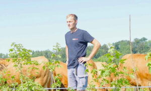 Adlerzart Agroforst
