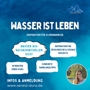 Sereia Wasser ist Leben Flyer