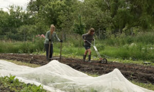 MDR Garten Solawi