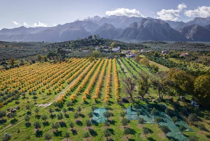 Regenerative Landwirtschaft