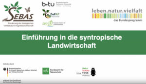 Einfuehrung syntropische Landwirtschaft