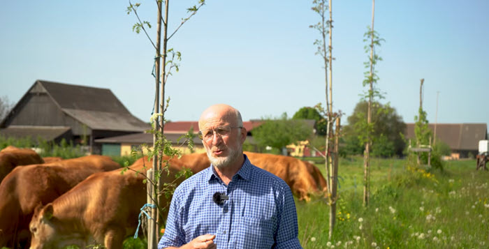 Michael Machatschek und Kühe