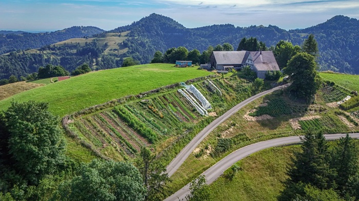 Permakultur im Tösstal - Summ-mit