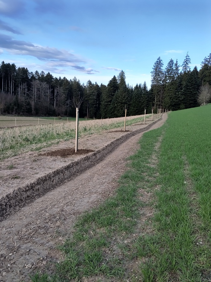 Agroforst Biohof Gruenboden
