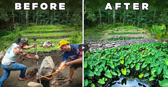 Hawaiian food system - Ahupua'a