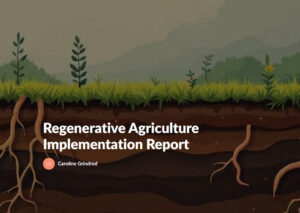 Regenerative Agriculture Implementation Report