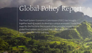 Global Policy Report