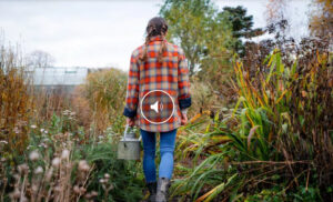 Treffpunkt SRF1 Permakultur