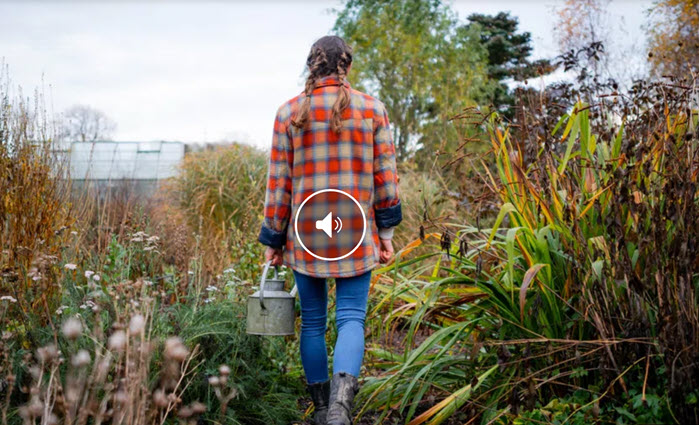 Treffpunkt SRF1 Permakultur