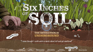Six Inches of Soil