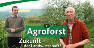 Agroforst als Zukunft der Landwirtschaft?