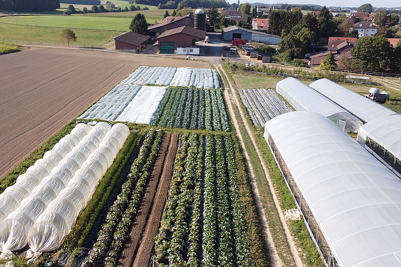 Kleinräumiger Gemüseanbau und Folientunnels
