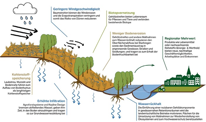 Gesellschaftliche Leistungen von Agroforstsystemen AFS