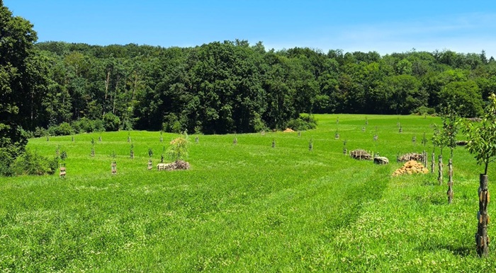 Keyline Design auf einem Betrieb