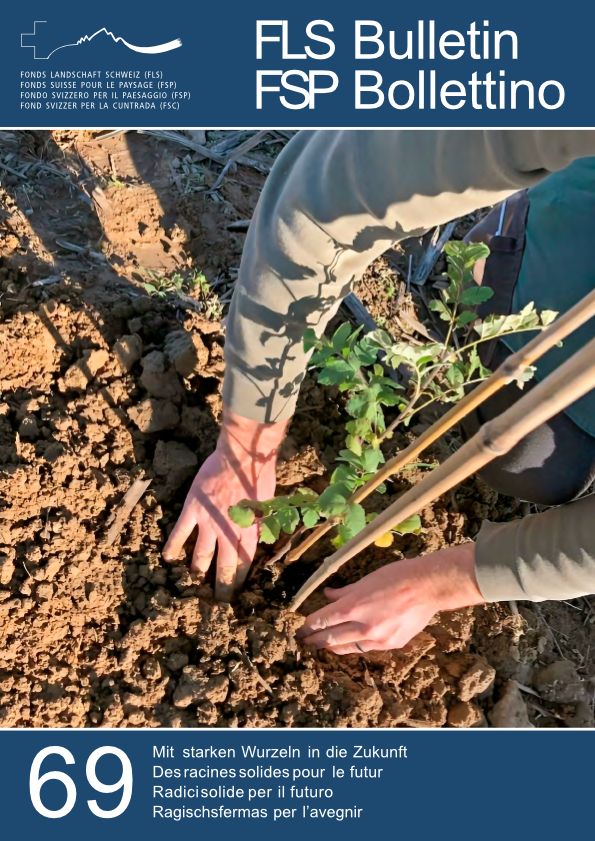 Titelseite FLS Bulletin 69