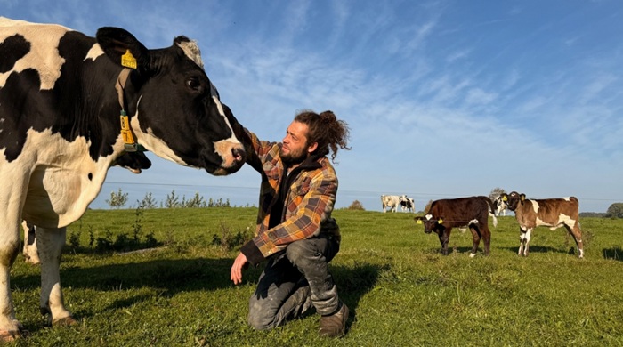 Landwirt und Kühe auf der Weide
