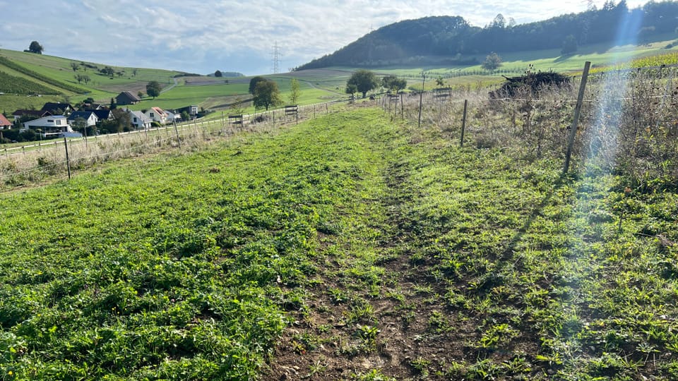 Keylines in der Landwirtschaft