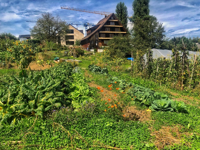 Garten vom Bachmattlihof
