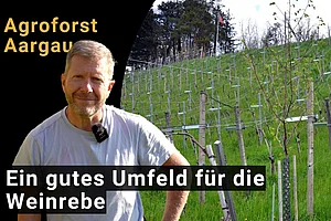 Vitiforst im Aargau