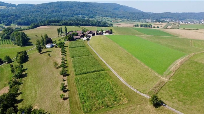 Luftaufnahme von Landwirtschaftsfläche