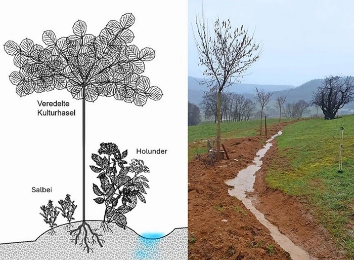 Keylines und Querschnitt des Systems