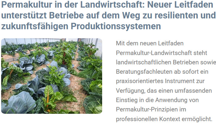 Newsletter Permakultur-Landwirtschaft vom März 2026