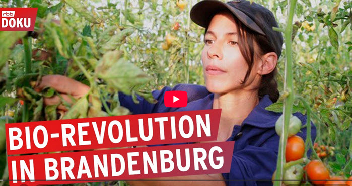 Maria Giménez von Wilmars Gaerten