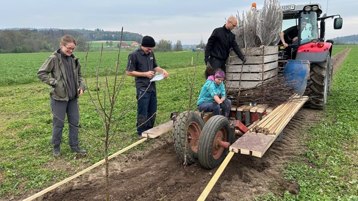Menschen pflanzen Bäume im Acker