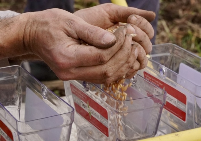 Hand füllt Saatgut ab