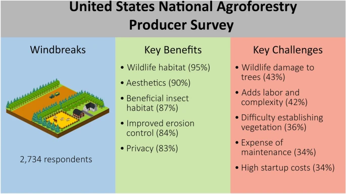 Windbreaks in the United States