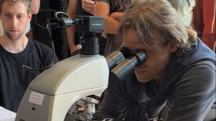 Mikroskopieren an einem Kurs