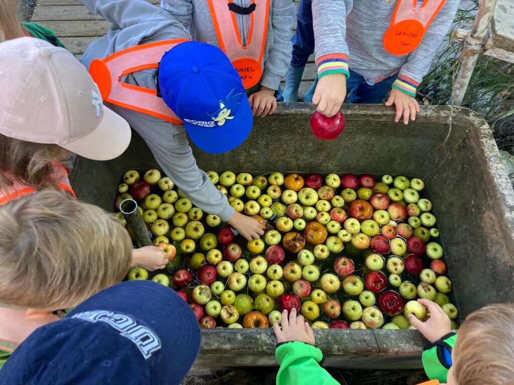 Obst von Rotenbirben