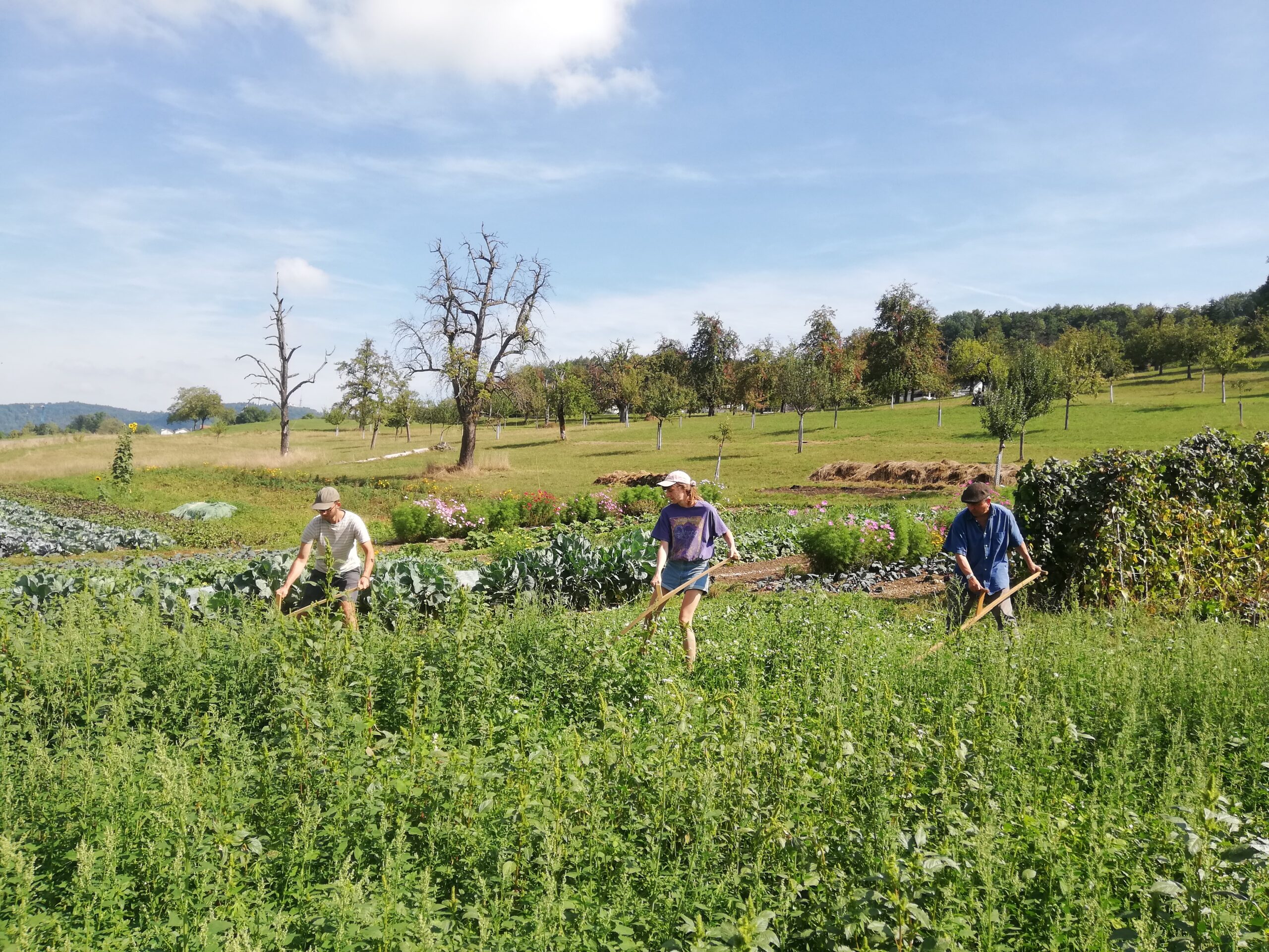 Arbeiten auf dem Hof Rotenbirben