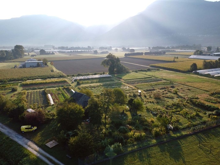 Cooperativa agricola