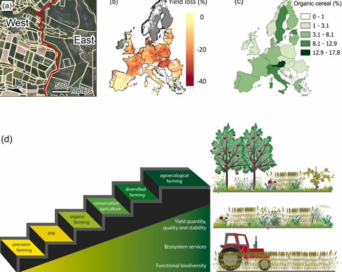 Grafik zu Studie betreffend Agrarökologie