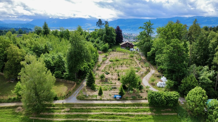 Wyler`s Biohof und Waldgarten